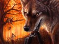 New_Coyote_by_kenket.jpg